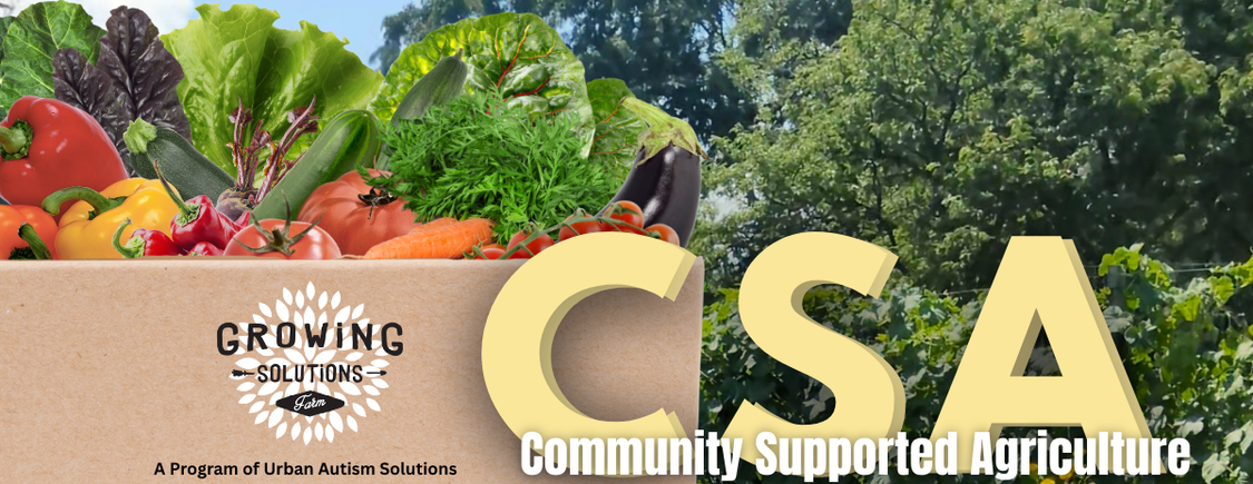 2026 CSA Subscription